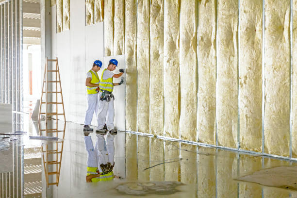 Best Residential Insulation in South Run, VA